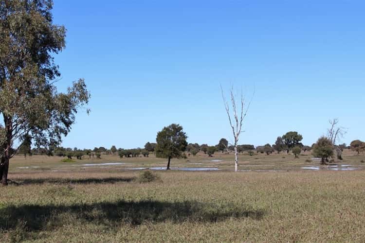 Seventh view of Homely livestock listing, Palari Sullivan's Road, Springsure QLD 4722