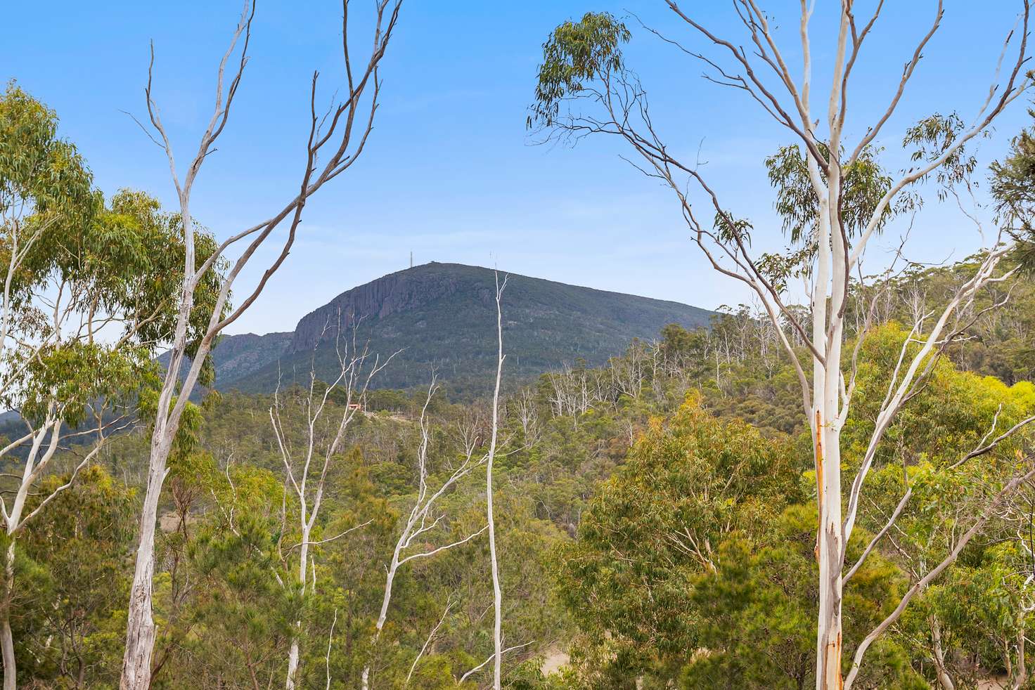 Main view of Homely residentialLand listing, Lot 2, 70 Brushy Creek Road, Lenah Valley TAS 7008