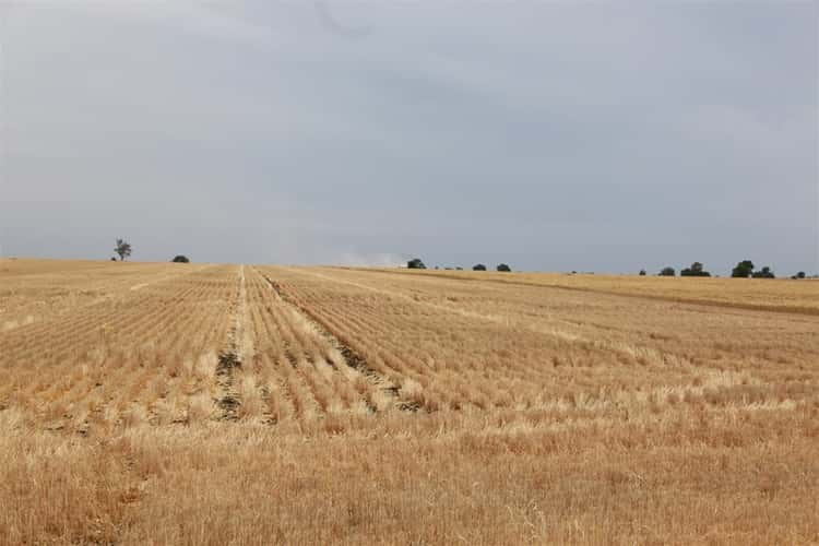 Third view of Homely mixedFarming listing, Matilda Downs Bonnie Doon Road, Capella QLD 4723