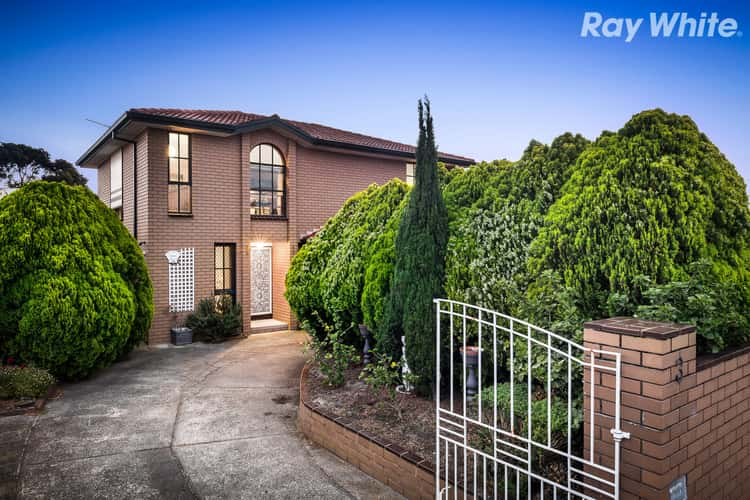 Main view of Homely house listing, 3 Glenmorgan Close, Clayton South VIC 3169