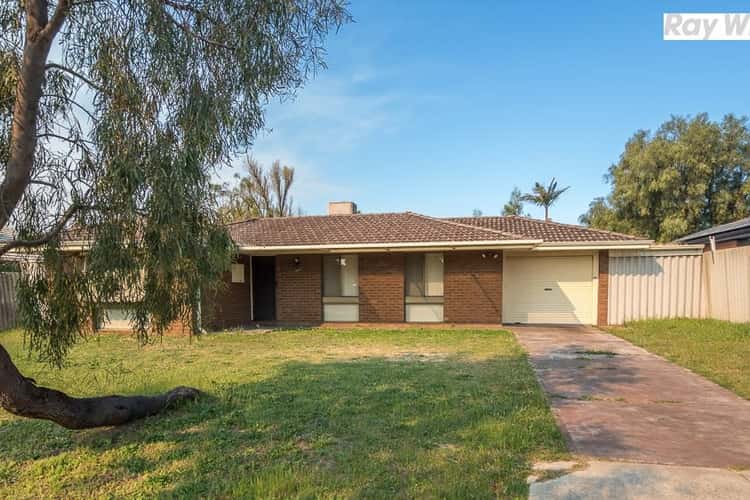 Second view of Homely house listing, 12 Silver Mallee Close, Camillo WA 6111