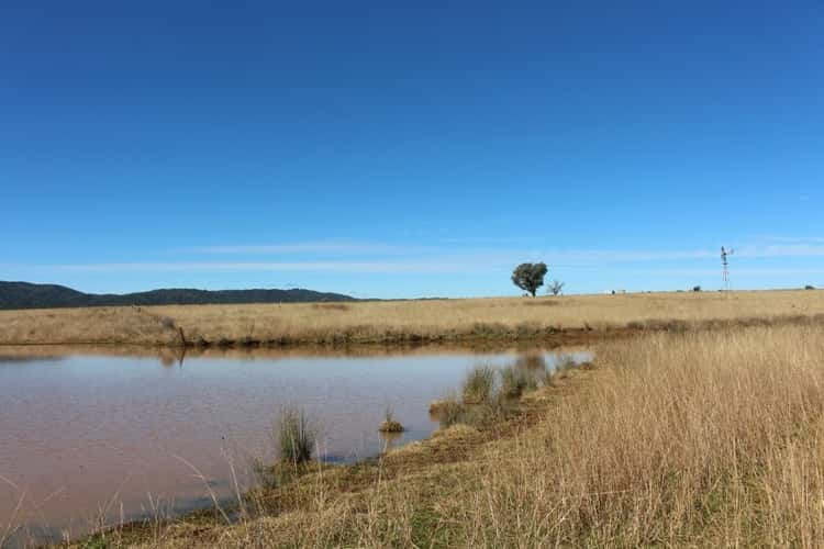 Seventh view of Homely ruralOther listing, Cobbadah Rd "Lansdale", Bingara NSW 2404