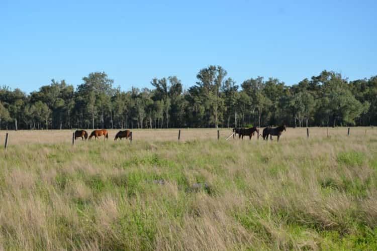 Sixth view of Homely livestock listing, 801 Rocky Gully Road, Atkinsons Dam QLD 4311