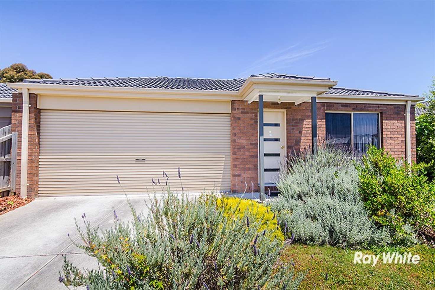 Main view of Homely house listing, 8 Bellbrae Crescent, Cranbourne West VIC 3977