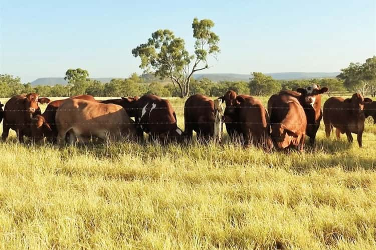 Sixth view of Homely mixedFarming listing, "ParkView" Springsure Tambo Road, Springsure QLD 4722