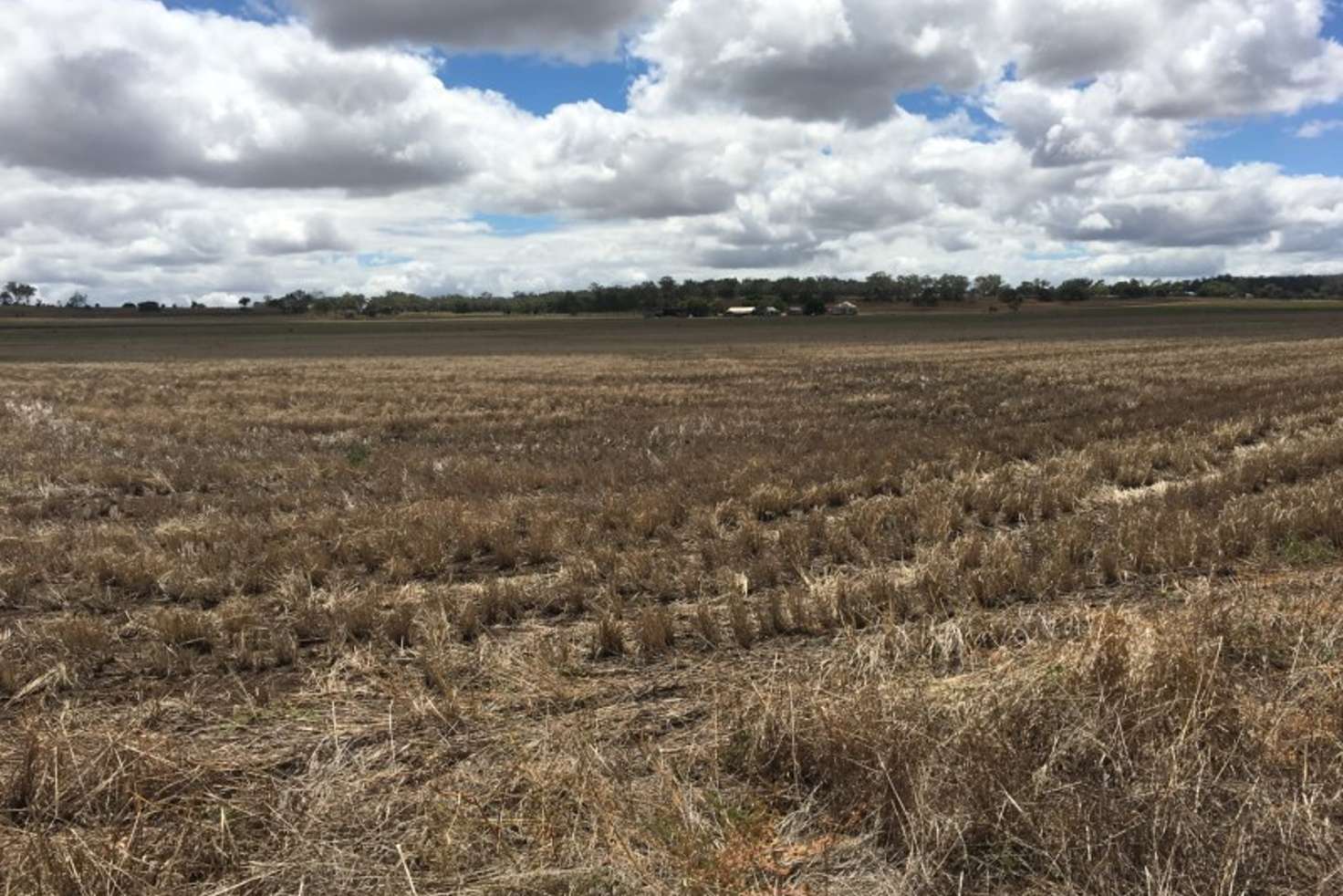 Main view of Homely mixedFarming listing, 768 Oakey-Pittsworth Road, Aubigny QLD 4401