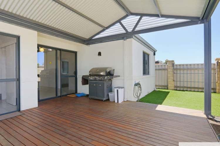 Main view of Homely house listing, 3/84 Bungaree Road, Wilson WA 6107