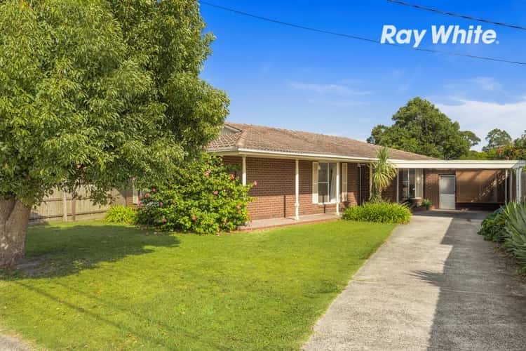 Main view of Homely house listing, 256 Spring Road, Dingley Village VIC 3172