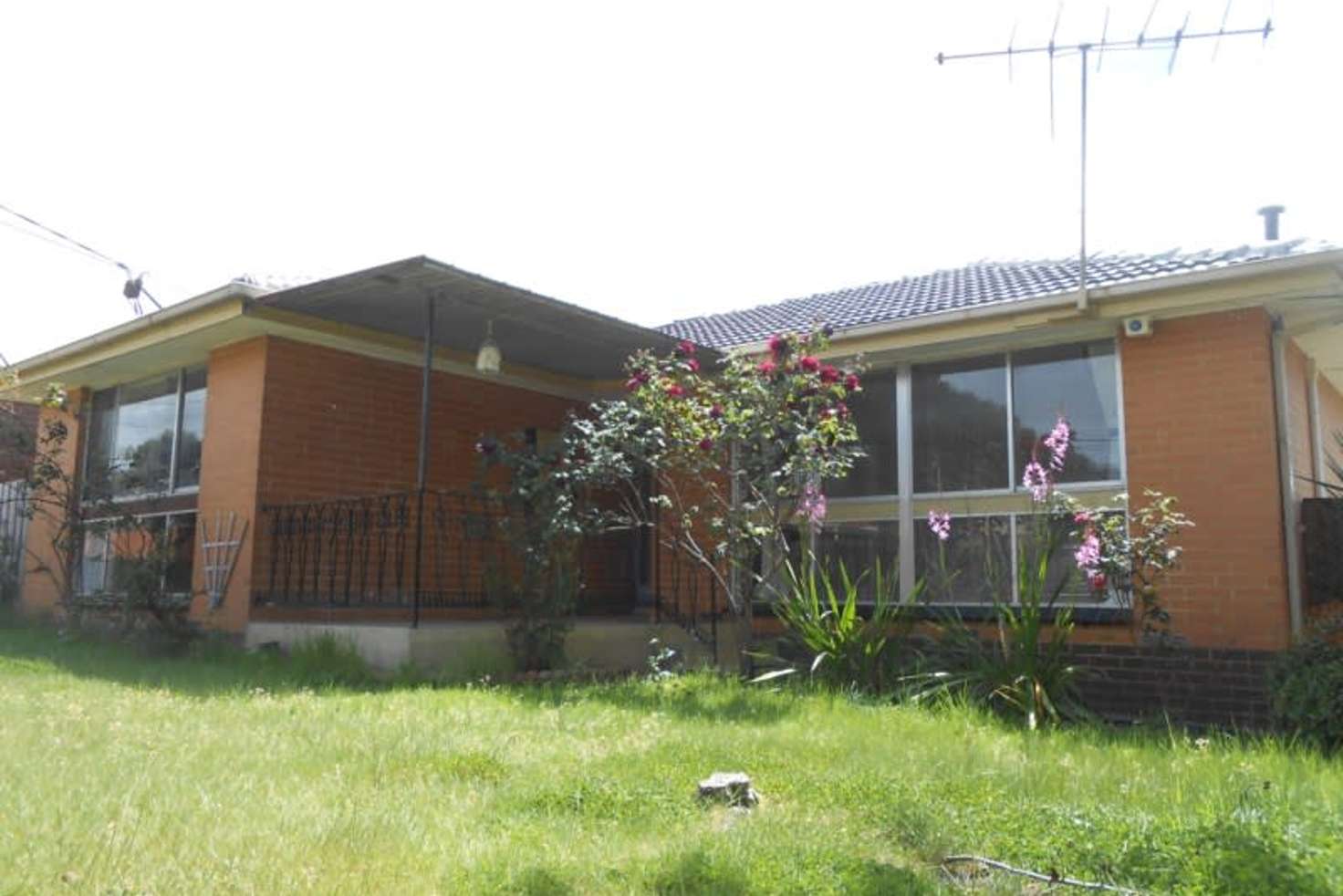 Main view of Homely house listing, 37 Monash Crescent, Clayton South VIC 3169