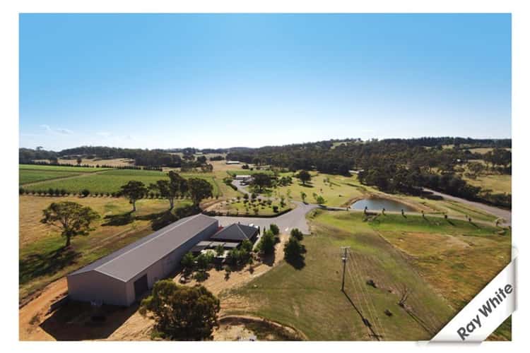 Sixth view of Homely acreageSemiRural listing, 1692 Murrumbateman Road, Gundaroo NSW 2620