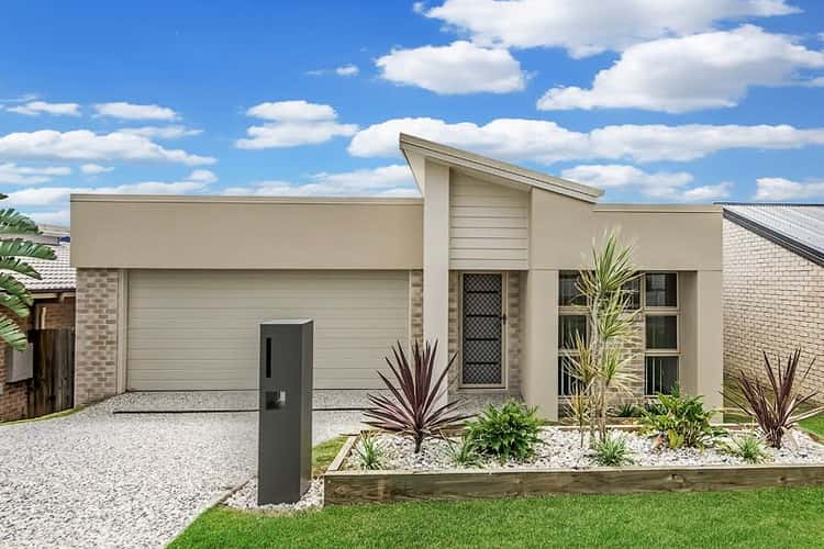 Main view of Homely house listing, 31 Cairnlea Drive, Pimpama QLD 4209