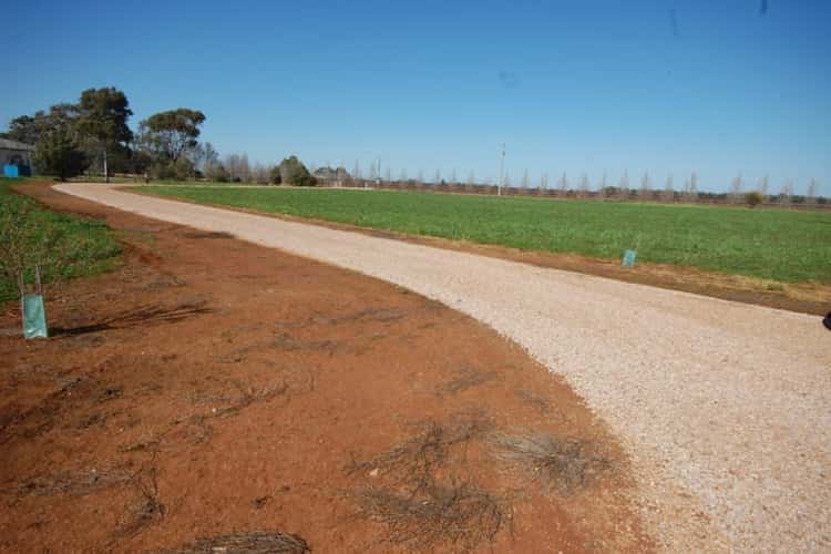 Second view of Homely ruralOther listing, Farm 89A Moseley Road, Bilbul NSW 2680