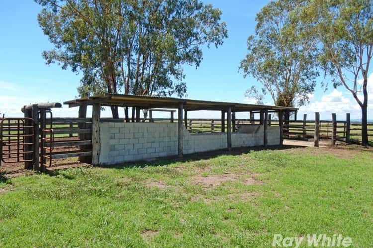 Seventh view of Homely livestock listing, Address available on request