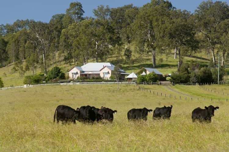 Second view of Homely ruralOther listing, 273 Hanleys Creek Road, Dungog NSW 2420