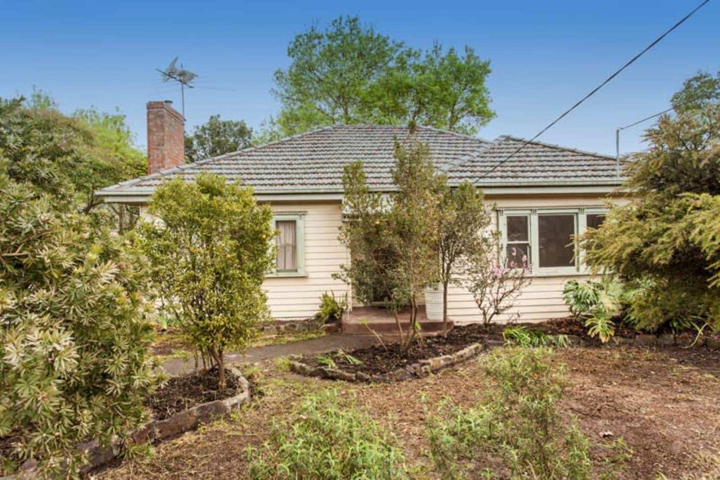 Main view of Homely house listing, 129 Nelson Road, Box Hill North VIC 3129