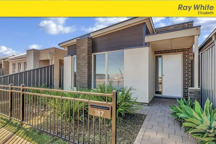 Main view of Homely house listing, 187 Petherton Road, Andrews Farm SA 5114