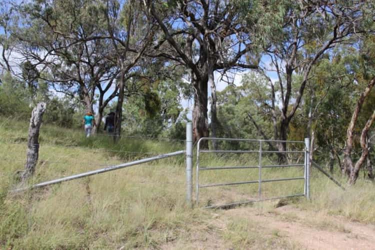 Second view of Homely ruralOther listing, Lot 1 Sawyers Gully Road, Tenterfield NSW 2372
