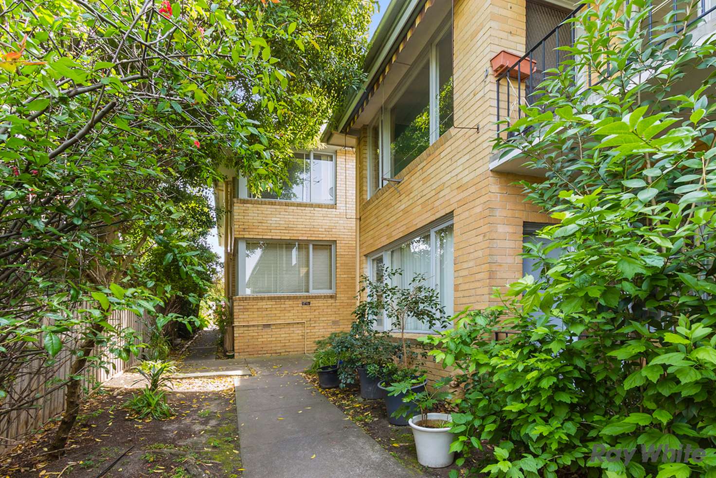 Main view of Homely apartment listing, 8/483 Whitehorse Road, Balwyn VIC 3103