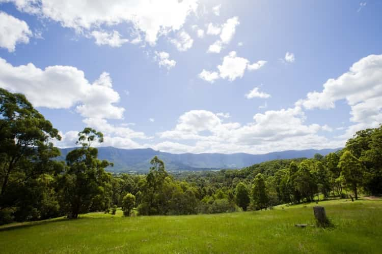 1475 Byrrill Creek Road, Tyalgum NSW 2484