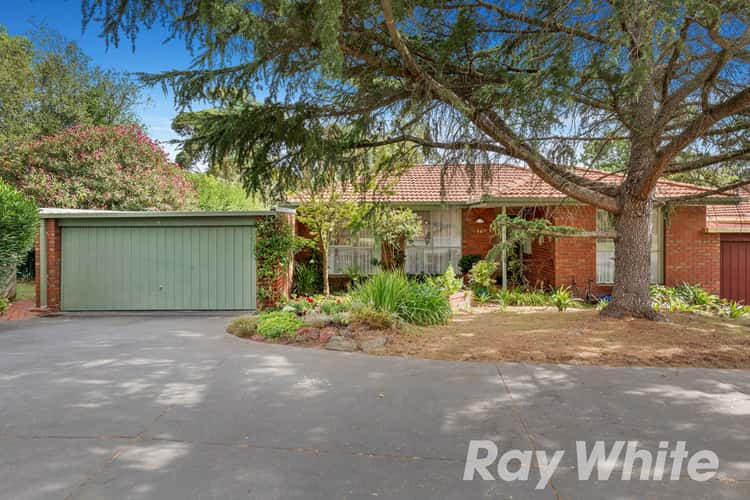 14/231-239 Canterbury Road, Blackburn VIC 3130