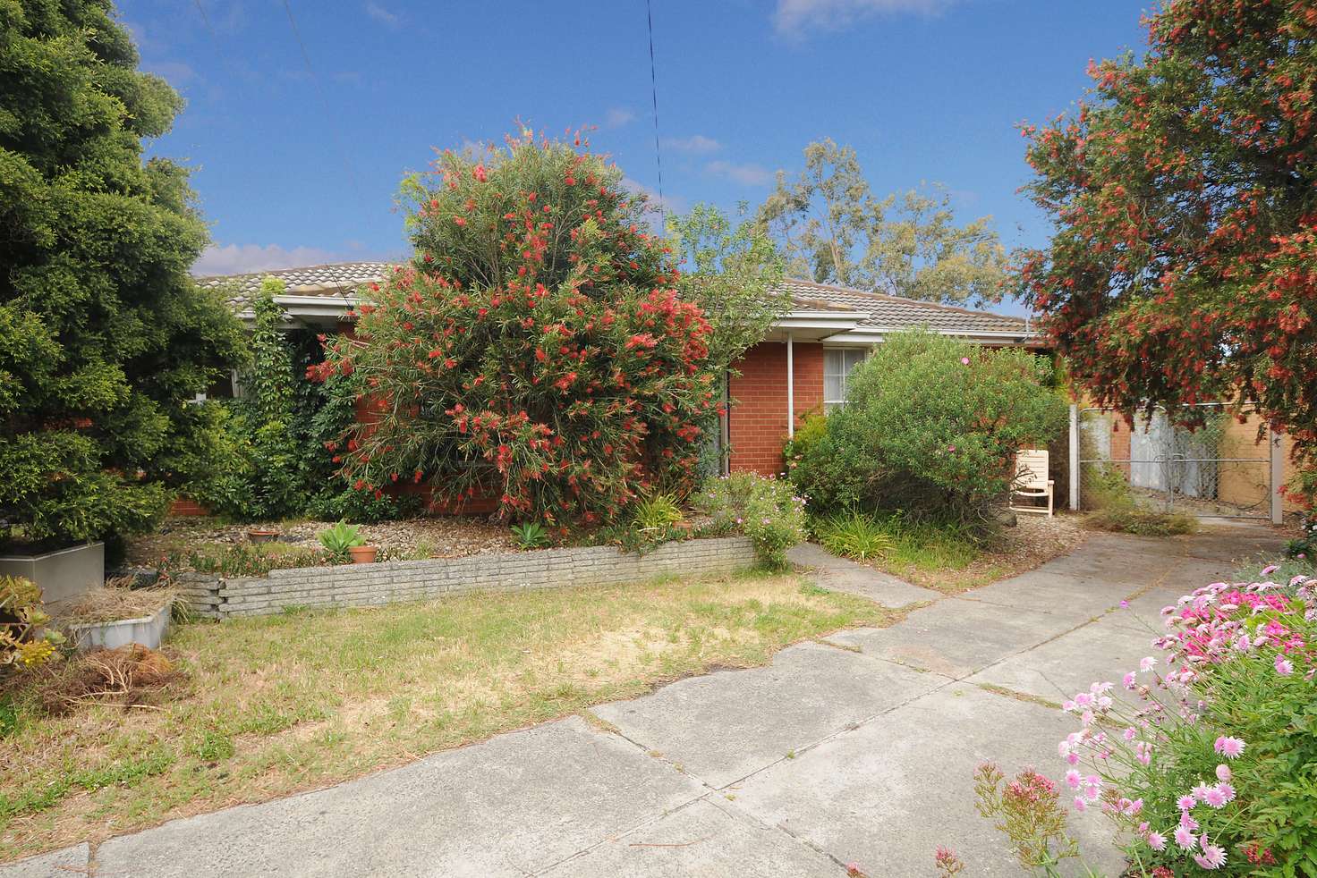 Main view of Homely house listing, 11 Tadstan Court, Clayton South VIC 3169