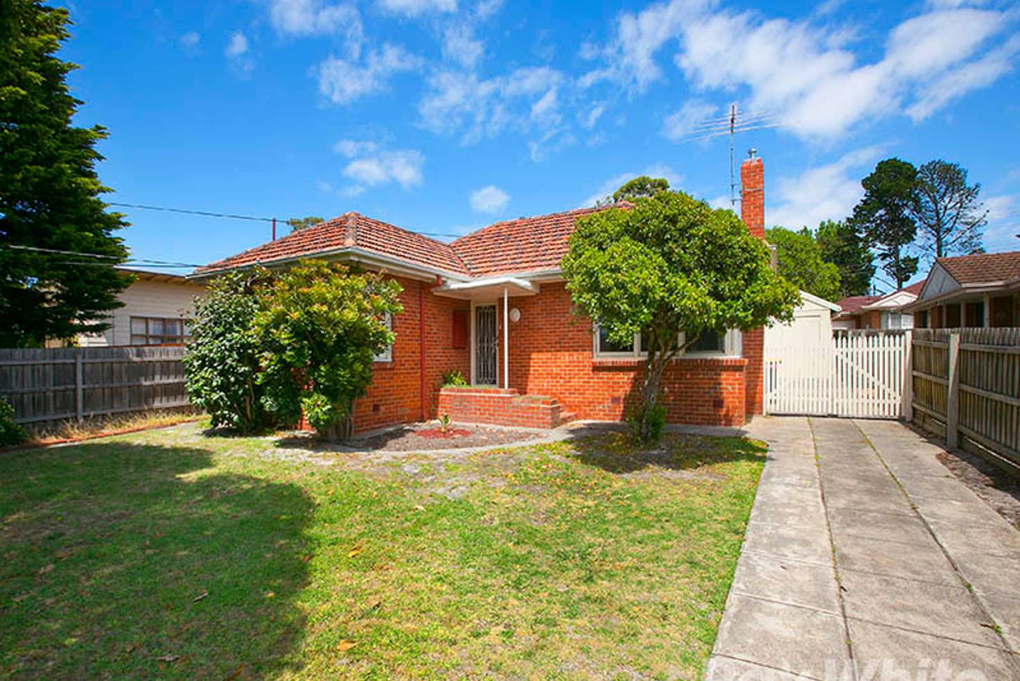 Main view of Homely house listing, 33 Jean Street, Cheltenham VIC 3192