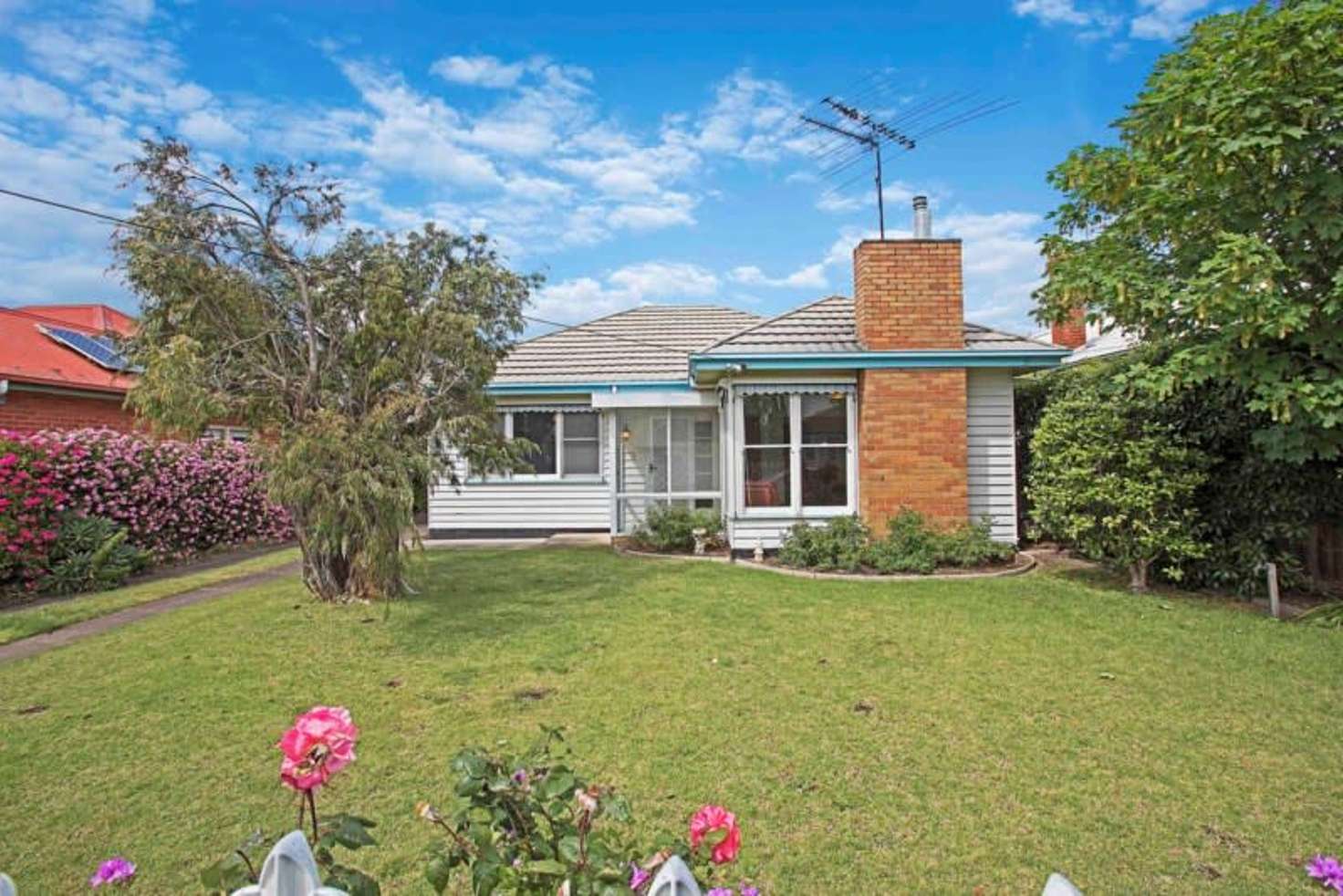 Main view of Homely house listing, 16 Mitchell Street, Belmont VIC 3216