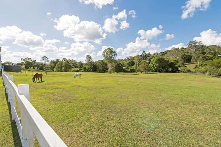 Fourth view of Homely acreageSemiRural listing, 31 Shaws Pocket Road, Luscombe QLD 4207