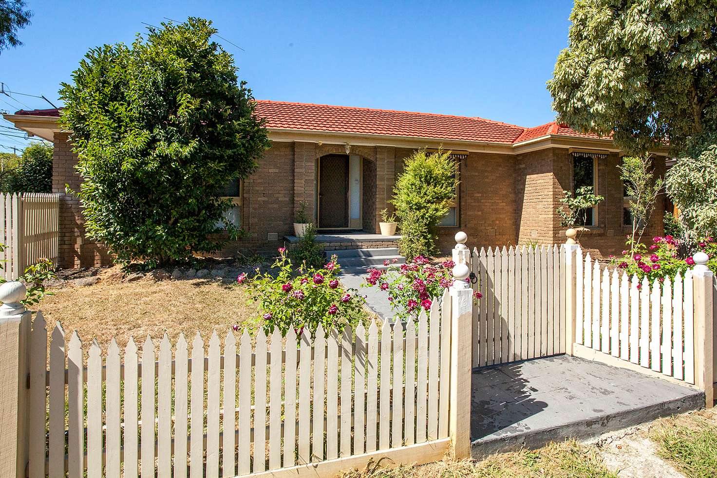 Main view of Homely house listing, 31 Kallay Street, Croydon VIC 3136