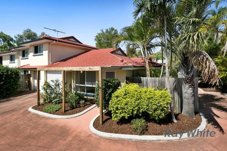 Main view of Homely unit listing, Unit 8, 27-35 Newhaven Street, Alexandra Hills QLD 4161
