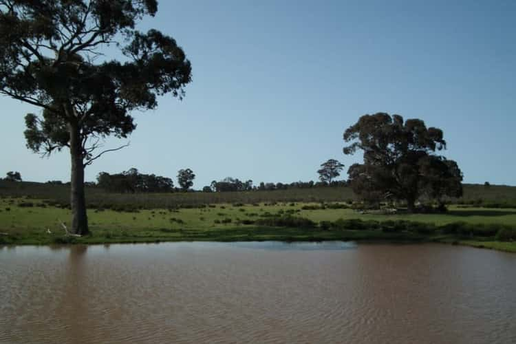 "Buffalo" Buffalo Swamp Road, Kirwans Bridge VIC 3608