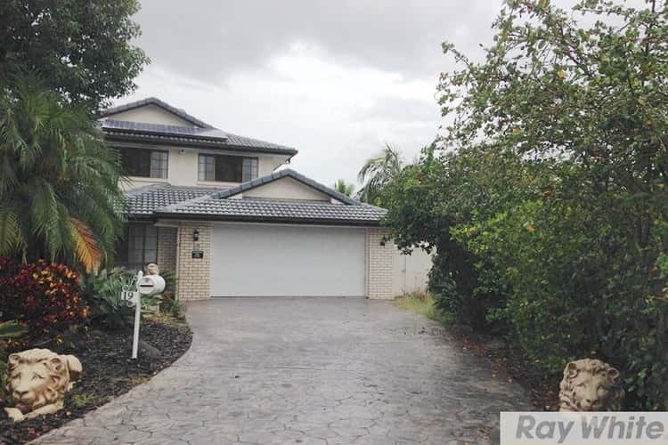 Main view of Homely house listing, 19 Alexandra Place, Runcorn QLD 4113
