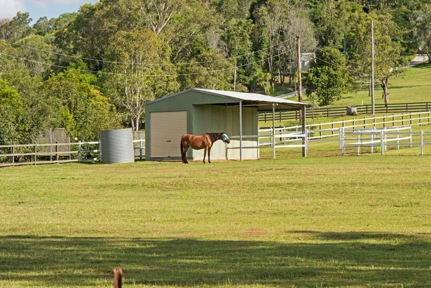 Main view of Homely acreageSemiRural listing, 31 Shaws Pocket Road, Luscombe QLD 4207