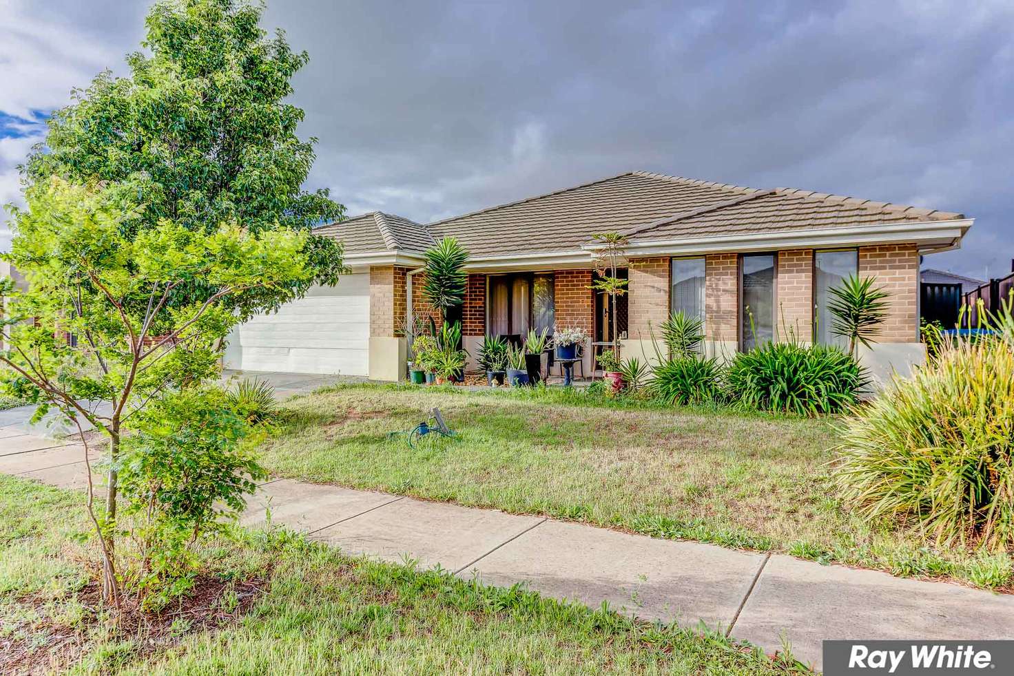 Main view of Homely house listing, 20 BlueJay Crescent, Tarneit VIC 3029