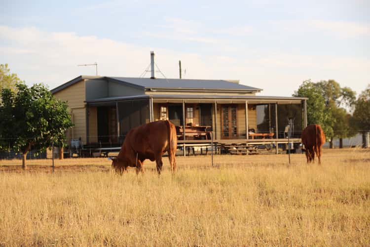 Main view of Homely ruralOther listing, 0 BURRADOO, Roma QLD 4455