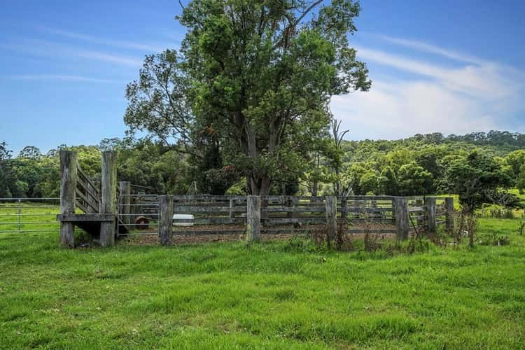 Seventh view of Homely acreageSemiRural listing, 803-809 Cudgera Creek Road, Cudgera Creek NSW 2484