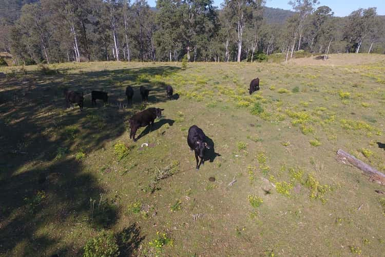 Second view of Homely mixedFarming listing, 283 O'Neills Road, Bentley NSW 2480