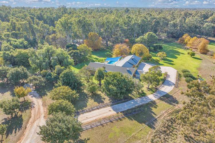 Main view of Homely acreageSemiRural listing, 3924 Cobb Highway, Mathoura NSW 2710