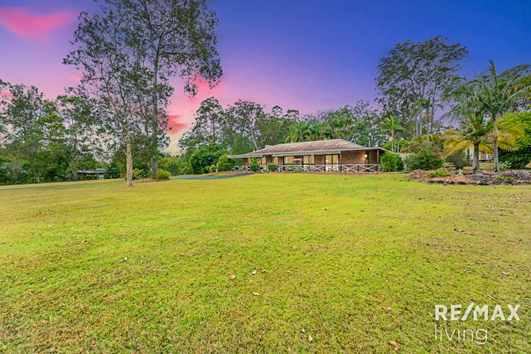 Main view of Homely acreageSemiRural listing, 36 Mimosa Street, Woodford QLD 4514