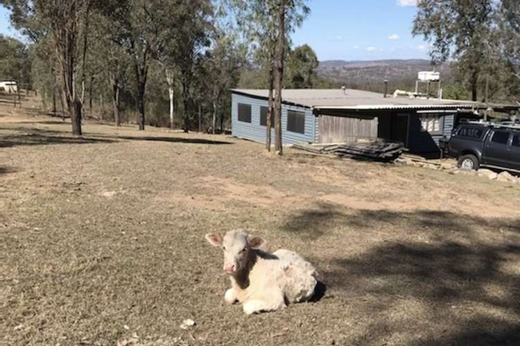 768 Old Esk North Road, South East Nanango QLD 4615