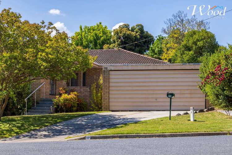 290 Cheyenne Dr, Lavington NSW 2641