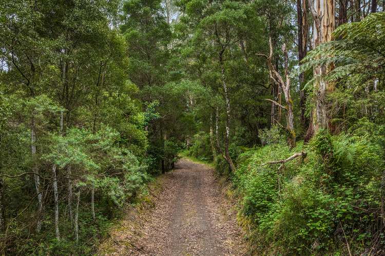 700 Old Beech Forest Road, Beech Forest VIC 3237