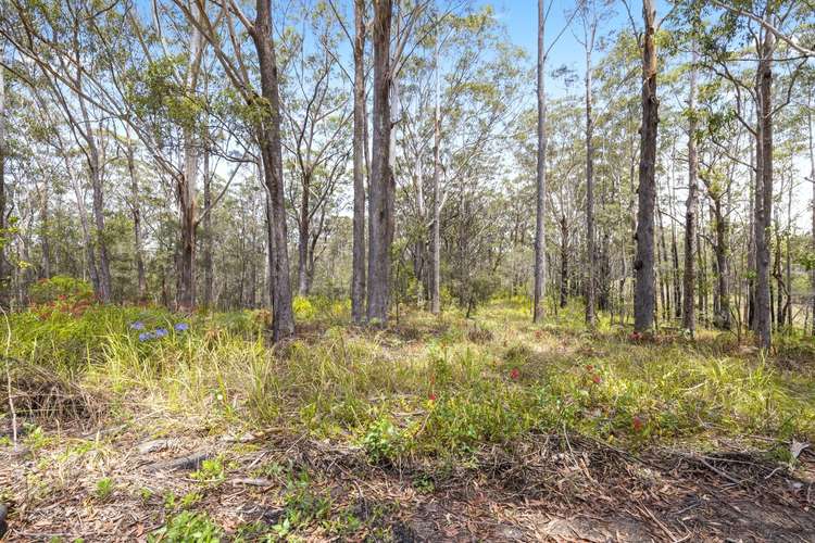 Sixth view of Homely lifestyle listing, Lot 5 Hungry Head Road, Urunga NSW 2455