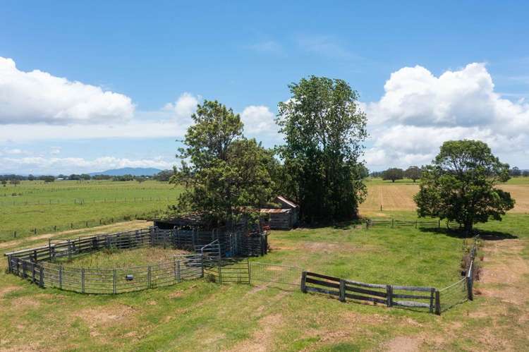 Sixth view of Homely ruralOther listing, 51 Hat Head Road, Kinchela NSW 2440