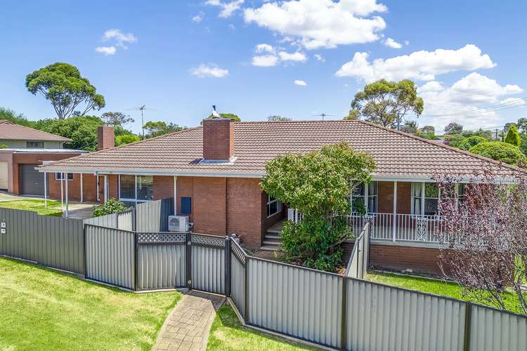 Main view of Homely house listing, 19 Walpole Avenue, Belmont VIC 3216
