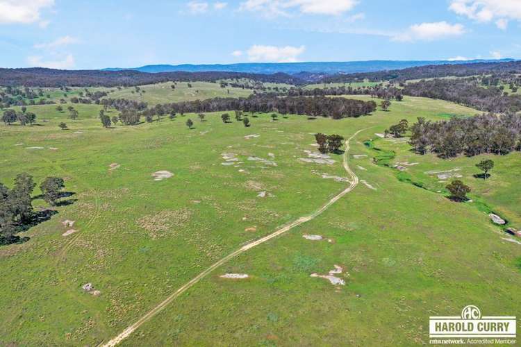 517B Bungulla Platform Road, Tenterfield NSW 2372