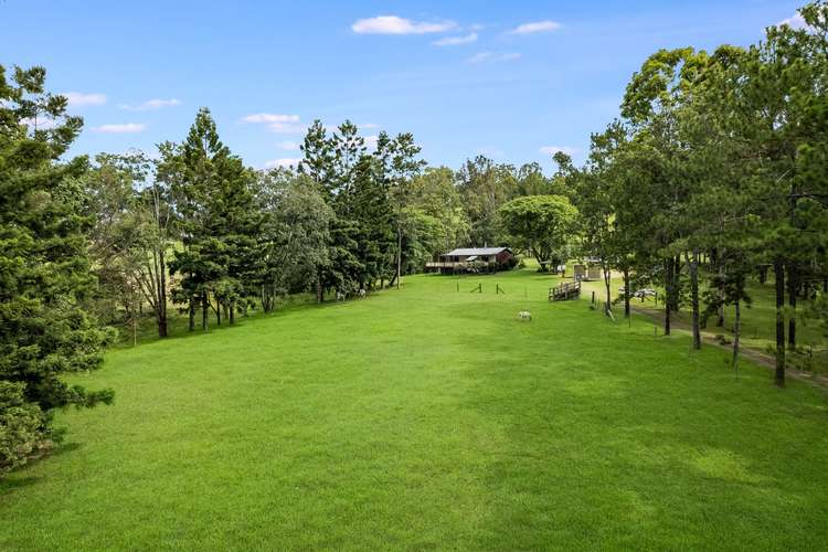 Main view of Homely acreageSemiRural listing, 1581 Maleny-Kenilworth Road, Conondale QLD 4552