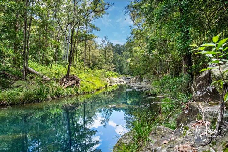 Main view of Homely residentialLand listing, 299 Fletcher Road, Stony Creek QLD 4514