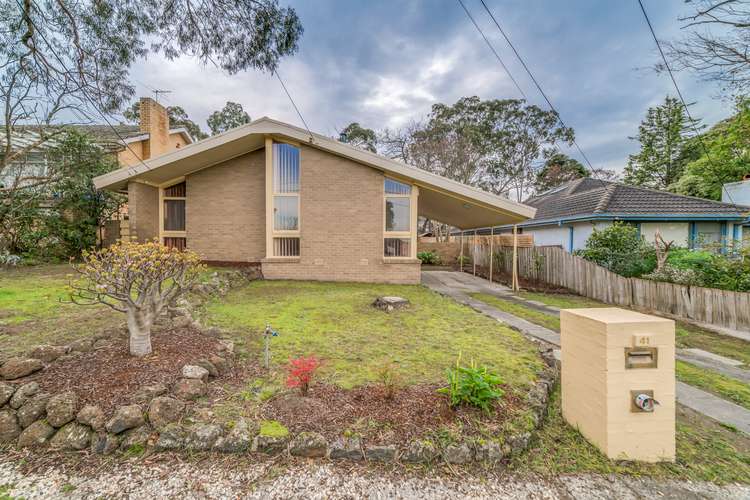 Main view of Homely house listing, 41 Denis Street, Mitcham VIC 3132