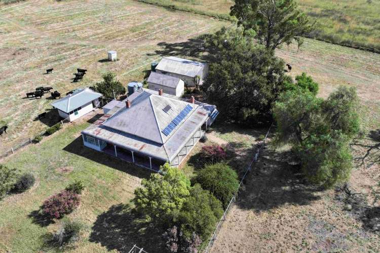 Main view of Homely livestock listing, 6121 Terry Hie Hie Road, Moree NSW 2400